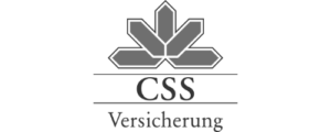 CSS-Logo-Grau